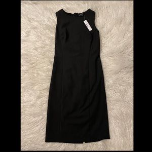 J. Crew Little Back Dress